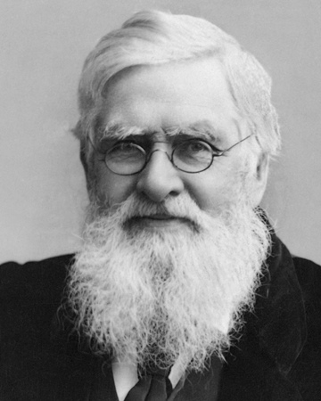 Naturalista, antropólogo y explorador Alfred Russel Wallace